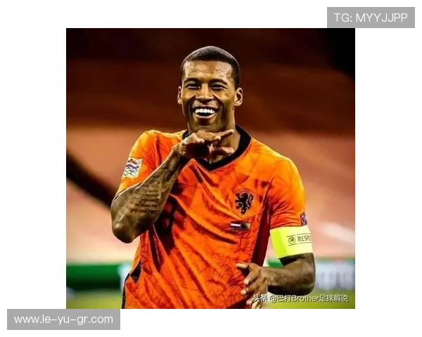 维纳尔杜姆如何突破瓶颈？剖析其职业倦怠、外界期望与内心挣扎