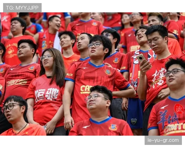 东亚杯点燃球迷热情，共迎足球盛宴