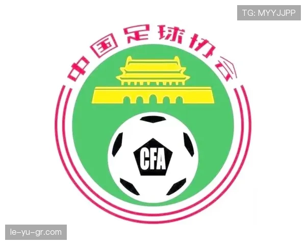 中超球队队标识别指南：辨识各俱乐部标志特征与设计元素